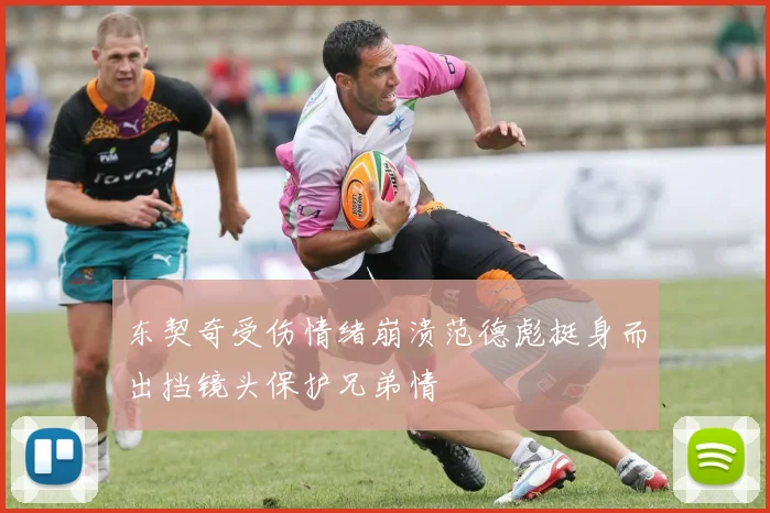 东契奇受伤情绪崩溃范德彪挺身而出挡镜头保护兄弟情